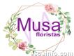 Musa Floristas - Floristería en Lugo