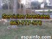 Profesionales En El Tema Forestal, 663.777.576, Limpiezas Y Desbroces De Parcelas Y Terrenos.