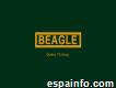 The Beagle Brand Moda para hombre