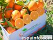 Venta De Naranjas Y Mandarinas A Domicilio