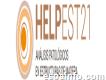 Helpest21 Análisis Patológicos En Estructuras De Madera