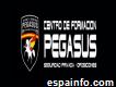 Pegasus - Centro De Formación Seguridad Privada