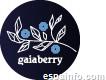 Gaiaberry Arándanos Ecológicos