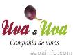 Uva a Uva - Compañía de Vinos