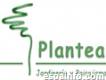 Plantea jyp- Estudio de paisajismo