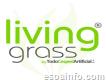 Livinggrass - Césped Artificial en Madrid
