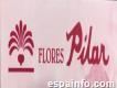 Floristería Pilar