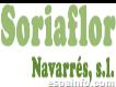 Soriaflor navarrés Sl- Mayorista de Flor cortada