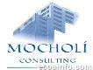 Mocholi Consulting