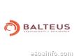 Balteus Arqueología y Patrimonio