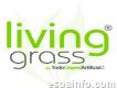 Livinggrass - Césped Artificial en Madrid
